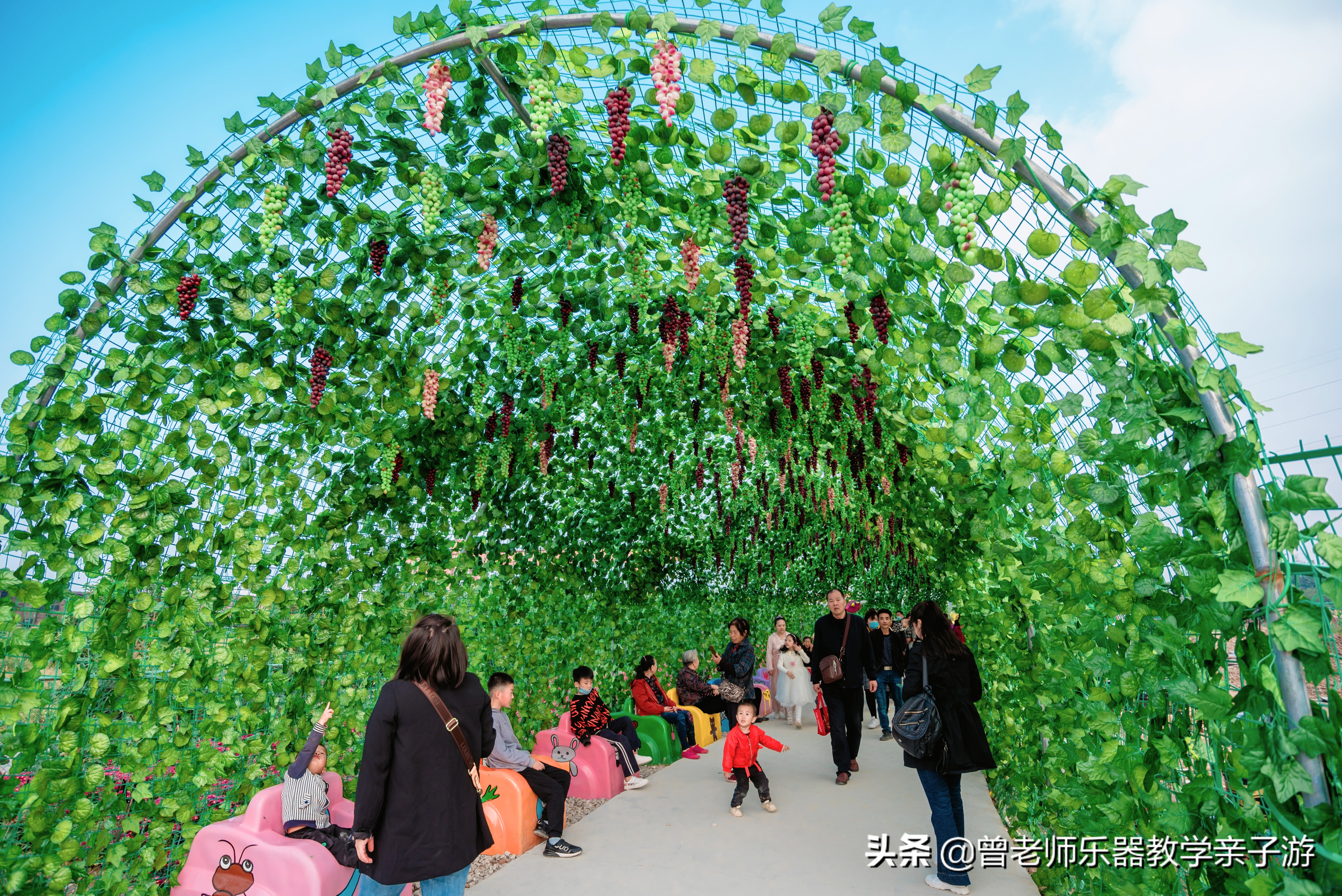 爱菊研学游,爱菊丝路文化菊花园西安