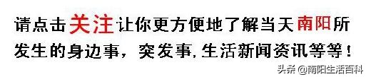 南阳方言和河南话,河南南阳方言你听得懂吗