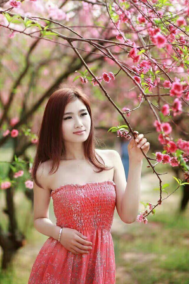 春上枝头，岁月别来无恙！【散文】