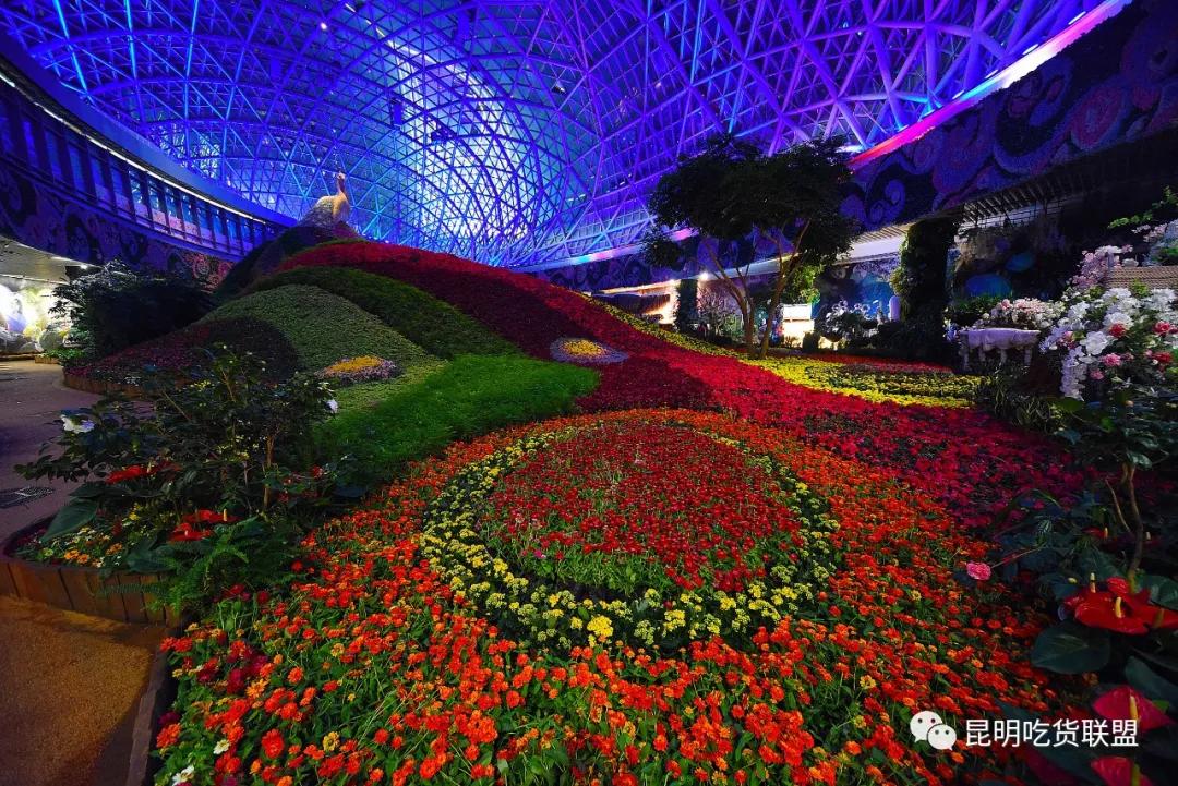 昆明老街附近哪家过桥米线好吃,昆明过桥米线百年老店哪家最正宗