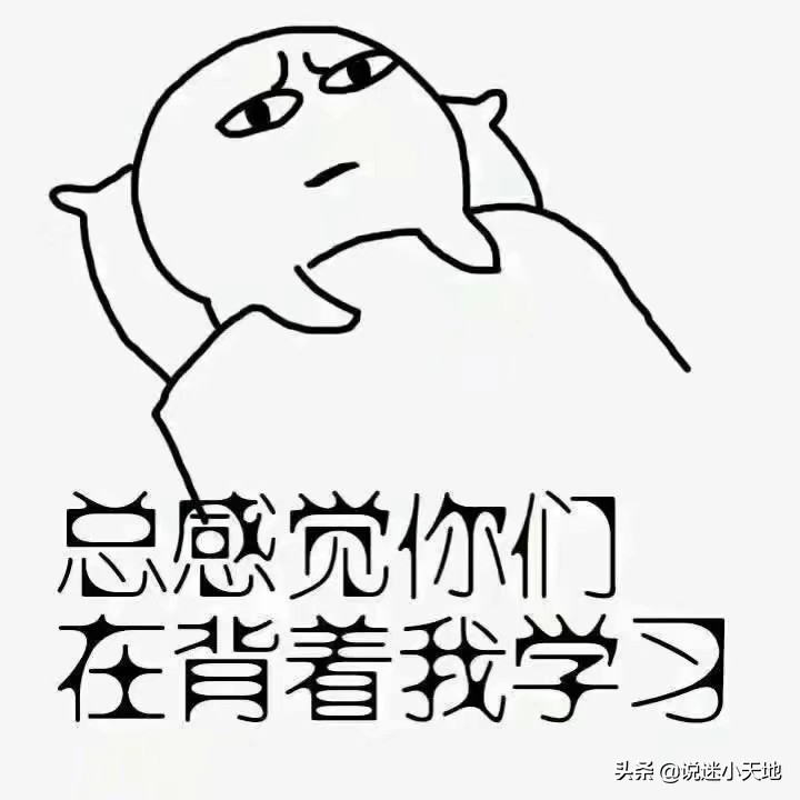 青春最华丽的裙袂，我只喜欢你‖小说《兔子爱吃窝边草》