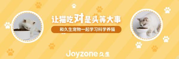 关于猫咪发情那些事,铲屎官们一定要提前知道