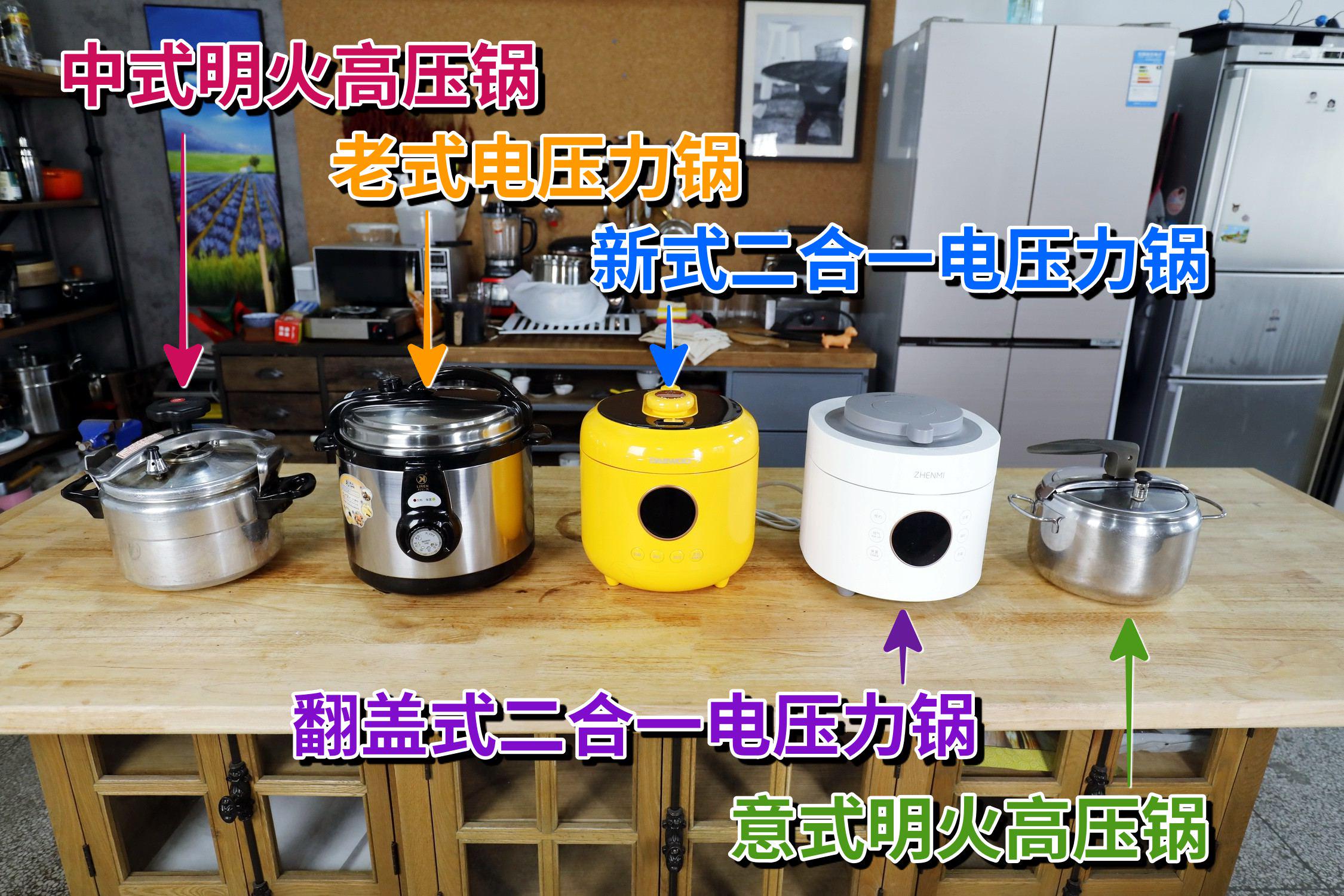 蒸煮两用电压力锅哪个牌子好,家用压力锅和微压锅哪个好