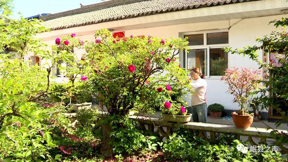 遇见马坞！——岷县马坞镇人居环境改善见闻