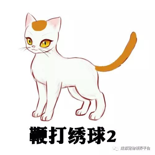 谁说土猫无名猫?快来围观古代猫谱,你家有没有镇宅神兽!