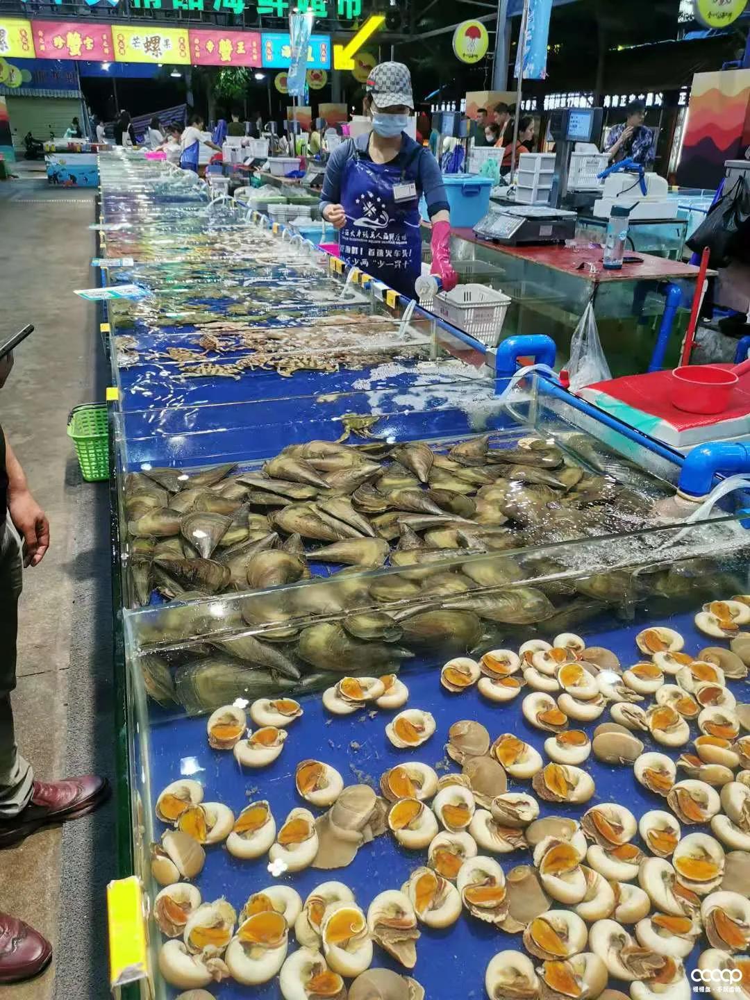 星月五指山料和毛感料区别,海南毛感星月介绍