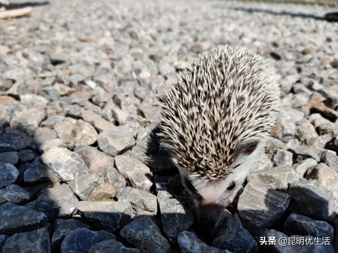 昆明周边亲子游乐场,昆明大型亲子乐园