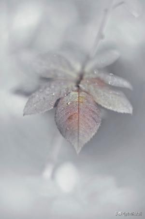 生活不易但也要活得精彩,生活不易却总能收获温暖