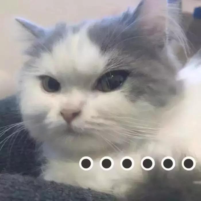 LV、Gucci、Chanel全线涨价？做好吃土的准备了吗？