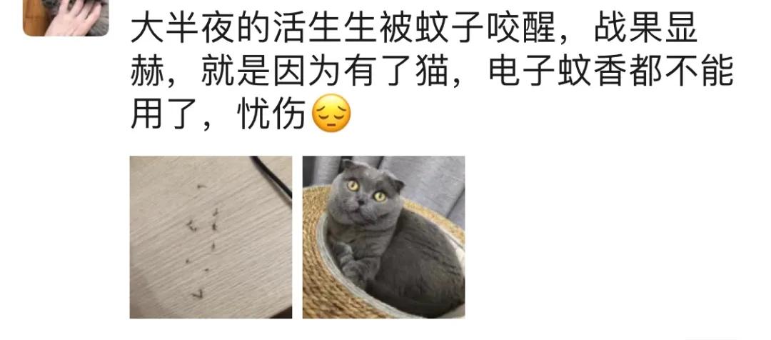 蚊子驱蚊最快的方法,夜晚蚊子多怎么有效的驱蚊