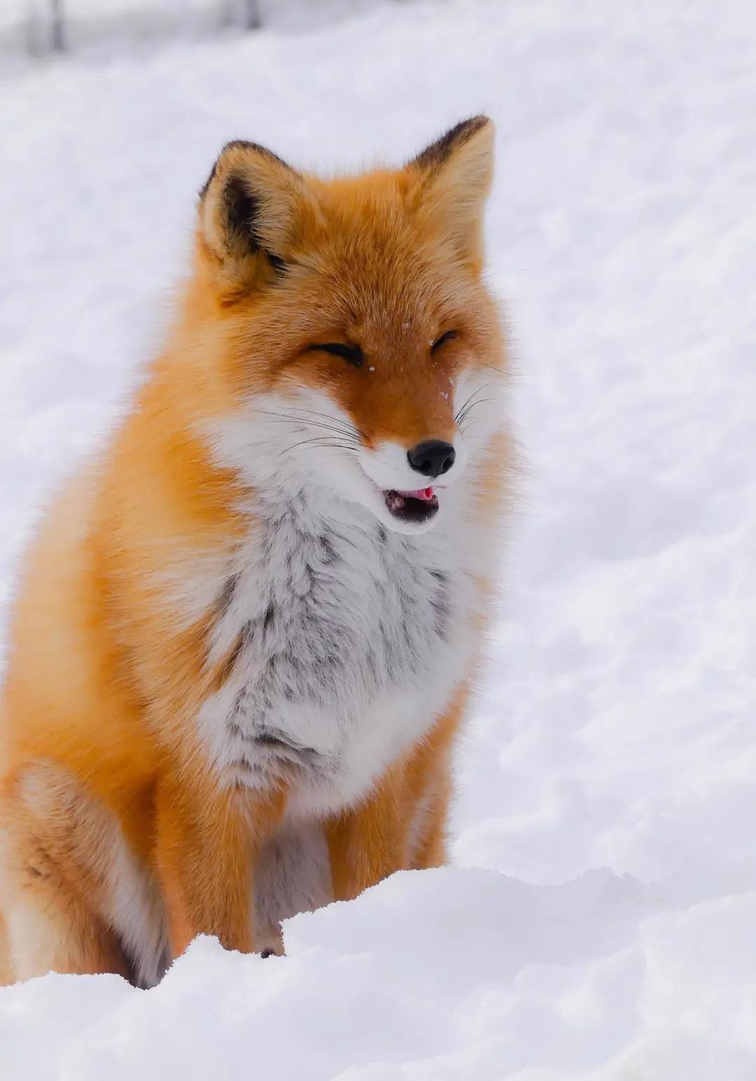 五一一日游象山,五一象山有几个玩的景区