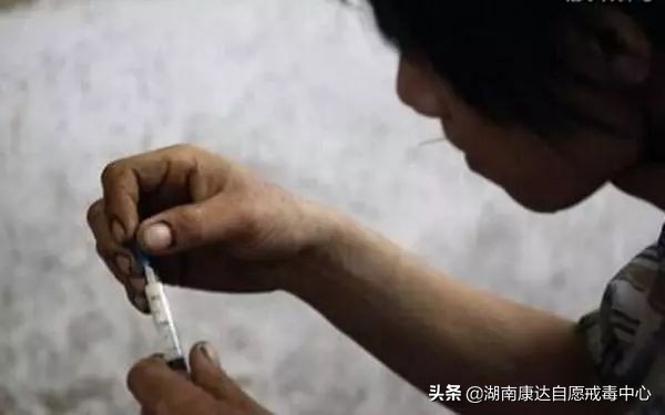 洛因反扑顾海,洛因赶走顾海