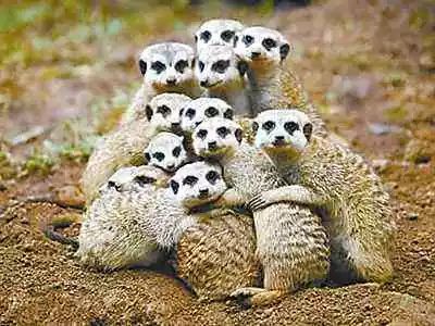 脚踝骨处烂了一个洞,老人的脚趾烂了个洞