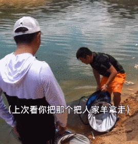 为什么你如此痴迷钓鱼游戏,为什么喜欢沉迷钓鱼游戏