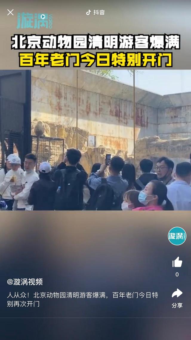 清明节泰山住宿,泰山旅游清明节人多吗