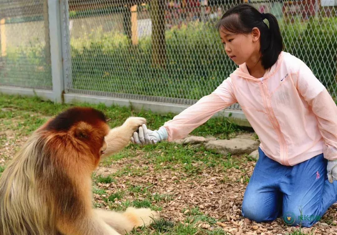 保护朱鹮,朱鹮自然保护区有利条件