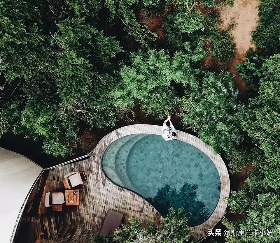 鏂噷鍏板崱缃楄幈澶忔湹,缃楄幈澶忔湹闇嶉】鑻卞紡鑼跺洯