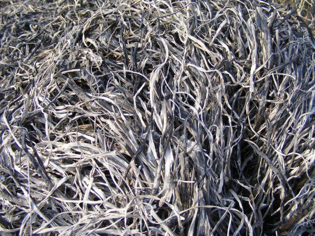 草木灰的七大用处,草木灰的大用处