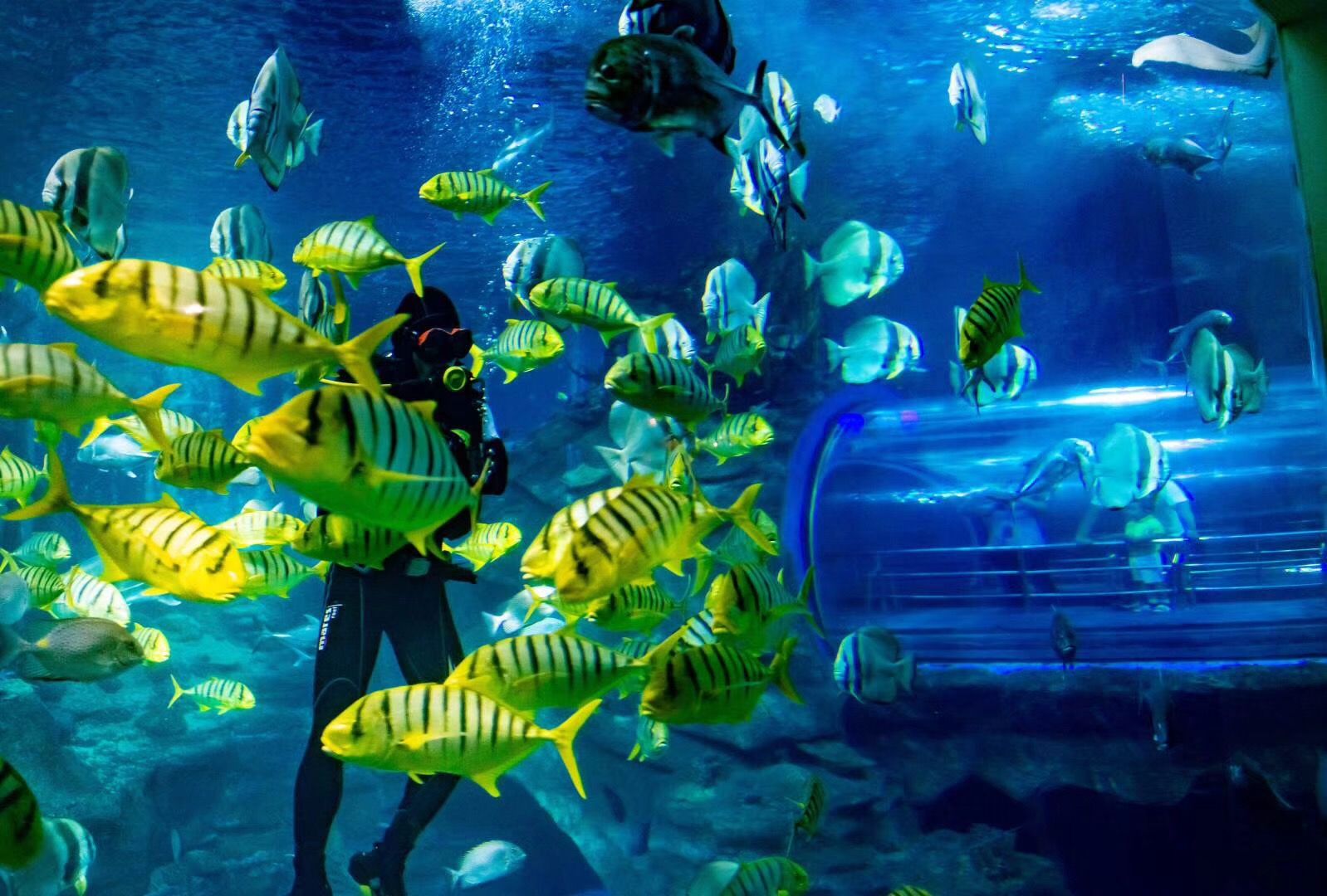 京津冀周边玩三天左右,京津冀十月旅游免费景区