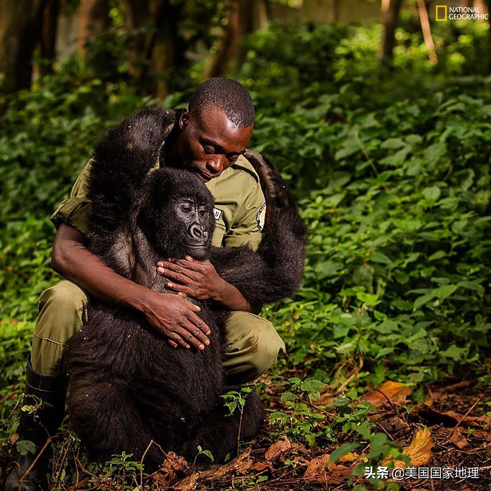 万中选一!大自然是怎样赋予照片灵魂的?