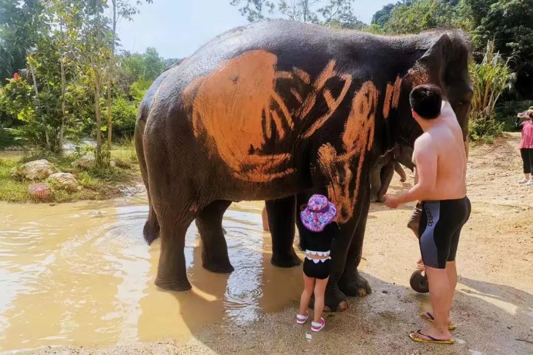 普吉岛雨天游玩攻略视频,普吉岛旅游帆船3天2晚
