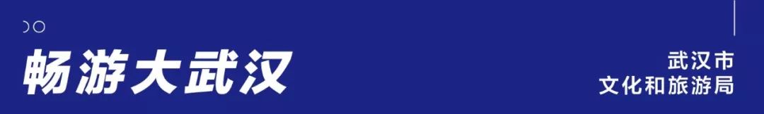 花点时间游武汉，满城都是菊花盛放的海洋