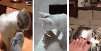 夏天穿鞋子有哪些款,夏天穿脚感好的鞋