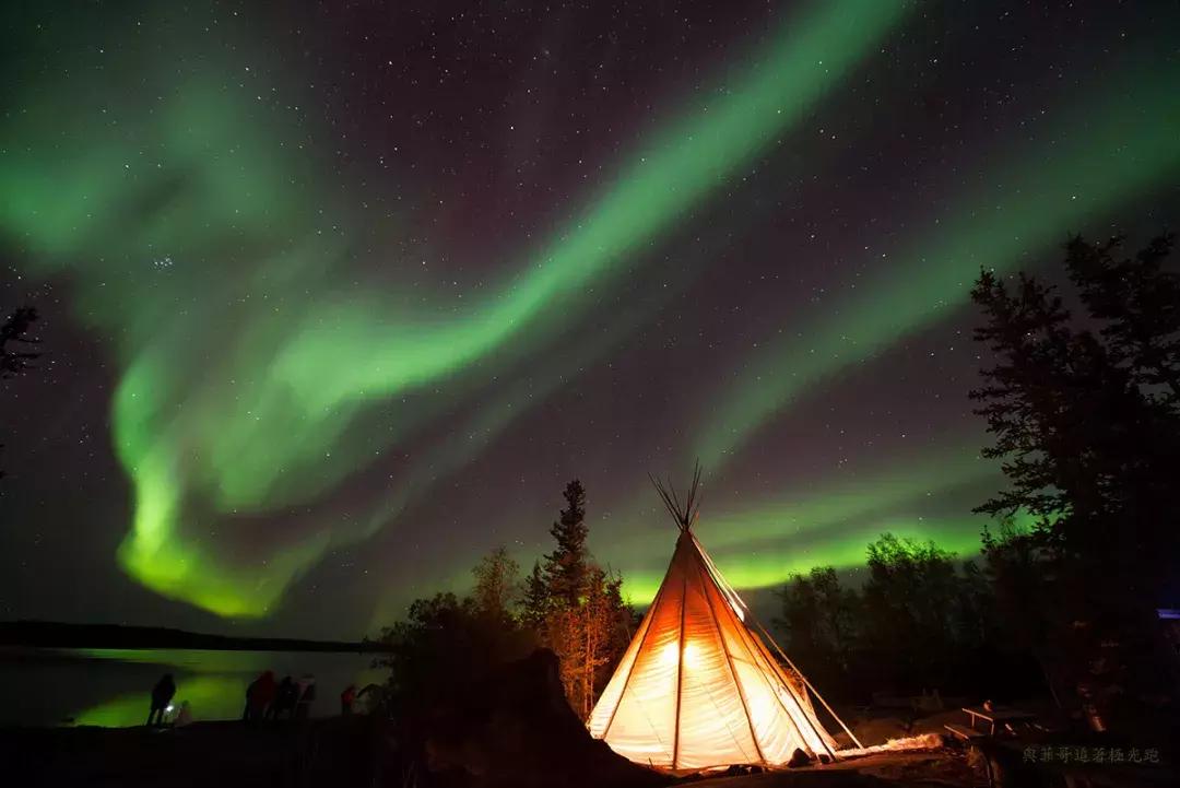 斑马旅游优缺点,斑马旅游2019