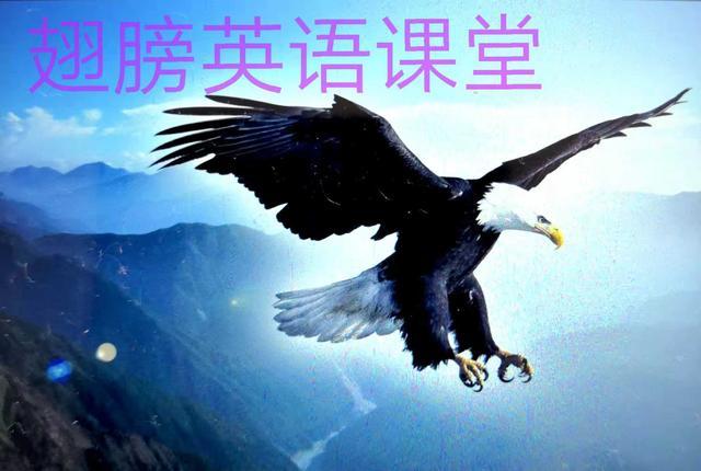 900句常用口语大全,口语500句全集