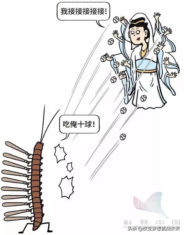 5g科普动画,科普5g剧情