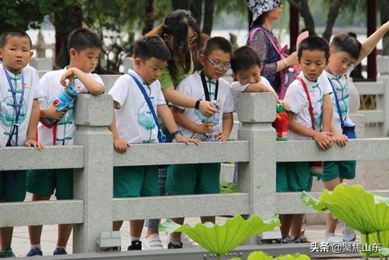 济南燕柳小学项目化学习走进大明湖：为学生“头脑风暴”