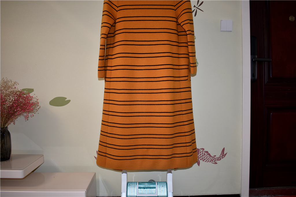 cuori卓力增压智能挂烫机bg538p,卓力bg578挂烫机好用吗