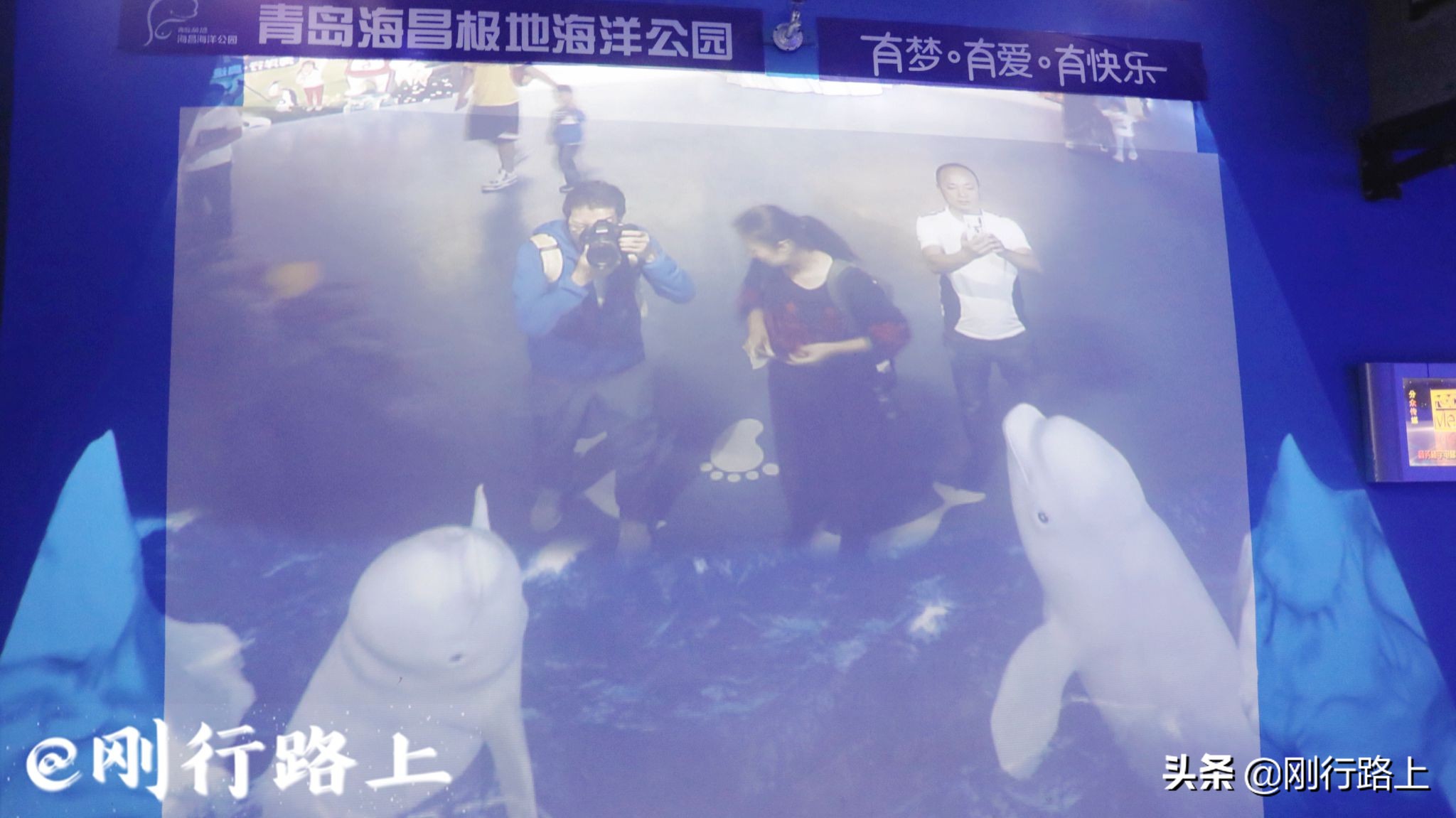 青岛海昌极地海洋世界深海探险,青岛海昌极地海洋世界景点视频