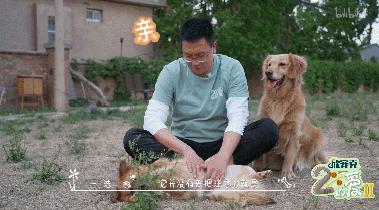 b站必看的综艺,b站能看的综艺推荐