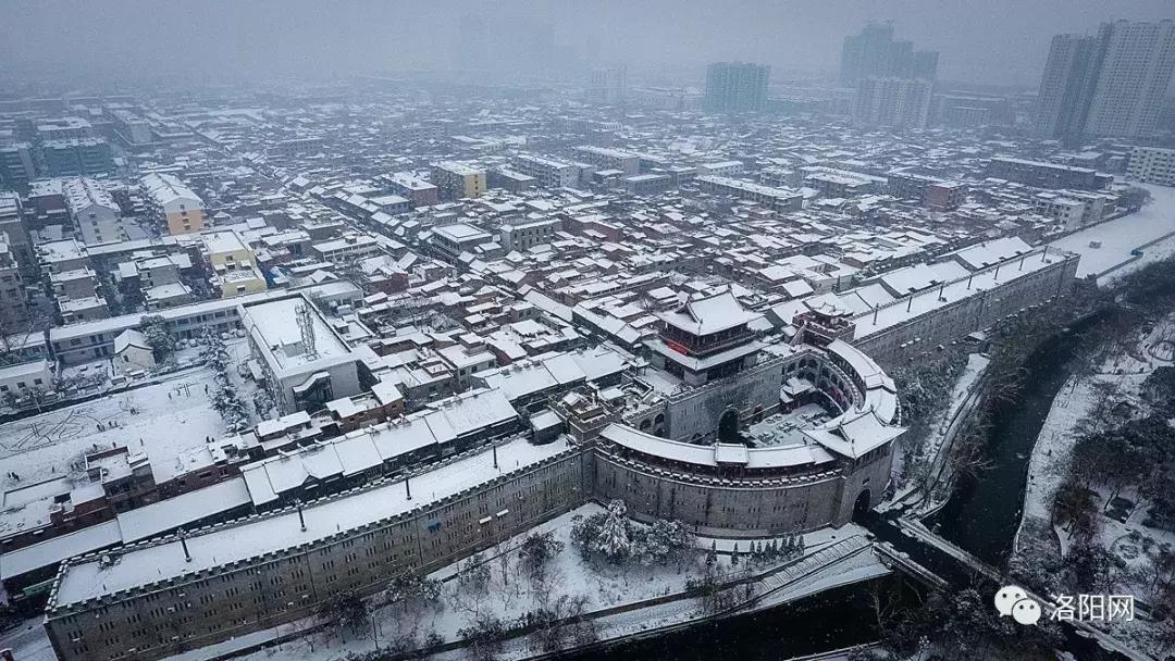 洛阳牡丹花会邀请,洛阳邀请全世界人民看牡丹