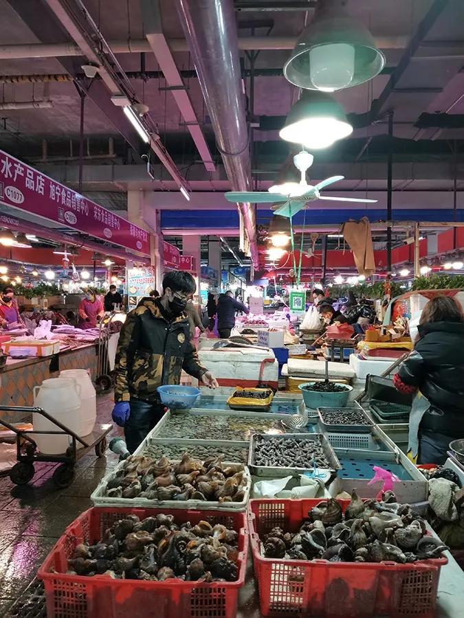 别“吃瓜”,吃海鲜!吃货们做好“时间管理”,封海将至!