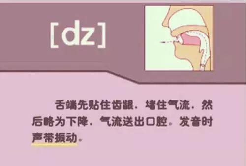 张中军音标发音48个教学视频合集,音标发音48个正确发音讲解视频