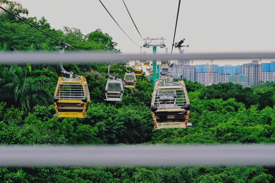 广州长隆攻略注意事项,广州长隆优惠攻略