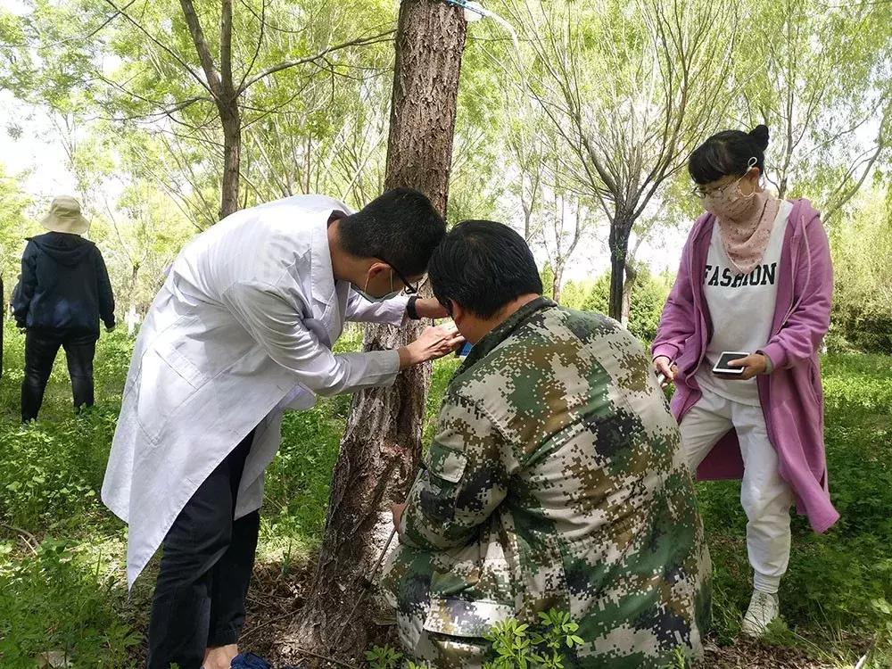 红颈天牛生活习性及防治方法,天牛的习性和天敌