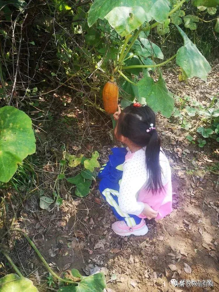 金太阳幼儿园校门,延安市甘泉谢金庄幼儿园