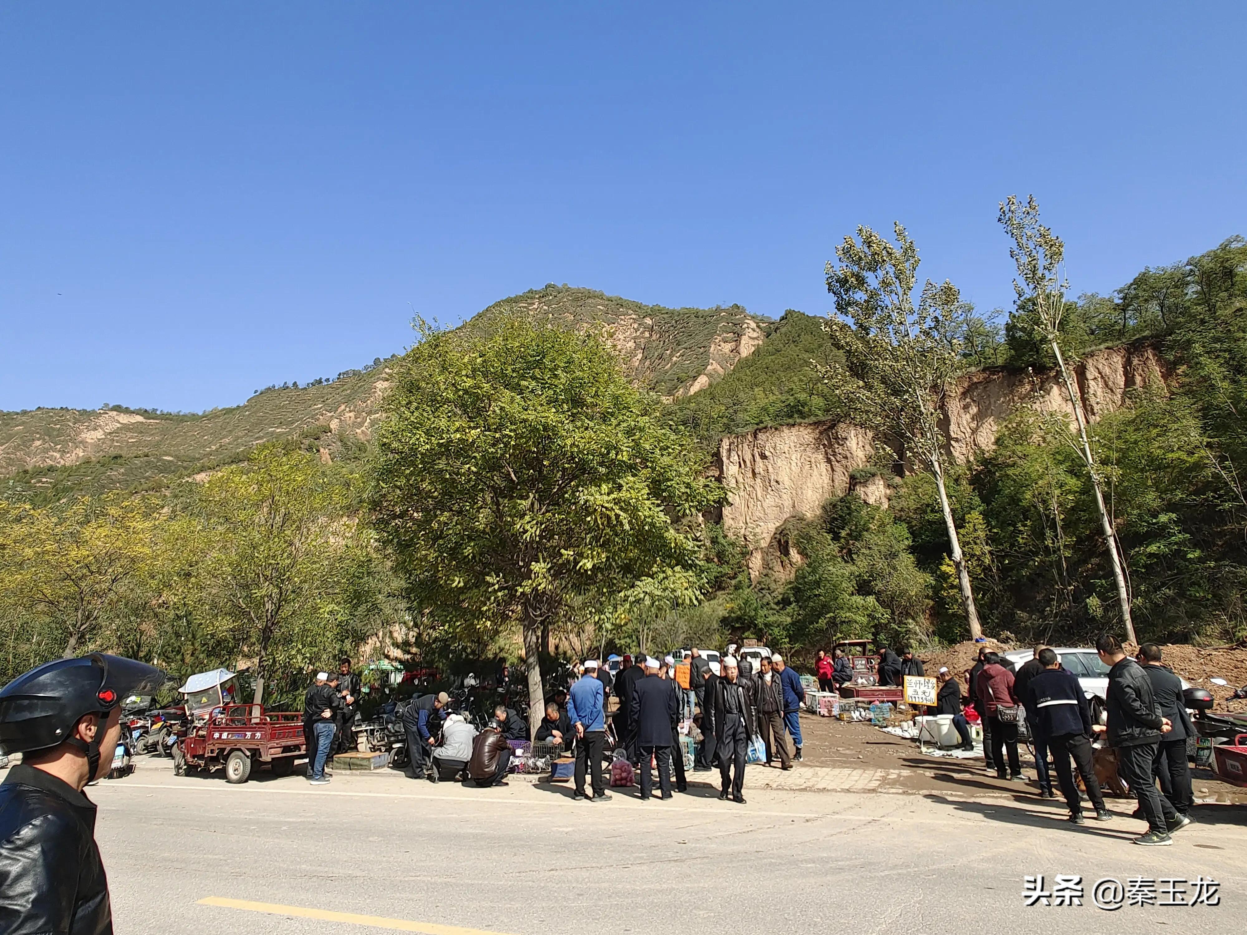 狗市，市井文化的洼地