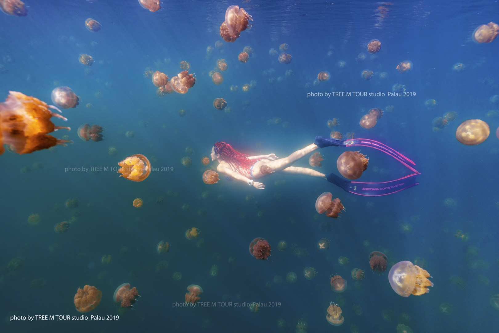 帕劳潜水旅游攻略,马尔代夫对比巴厘岛普吉岛帕劳