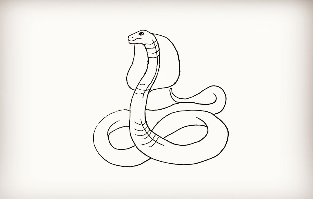 蛇的报复性有多强？被斩掉蛇头20分钟后，还可以咬人中毒身亡