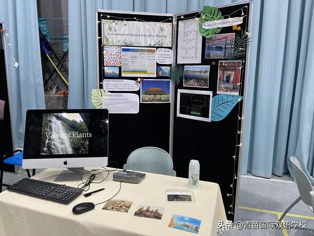 国际学校教育优势,国际学校的教育意义