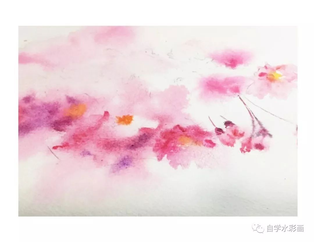 小清新水彩画樱花,梦幻又浪漫的水彩樱花画