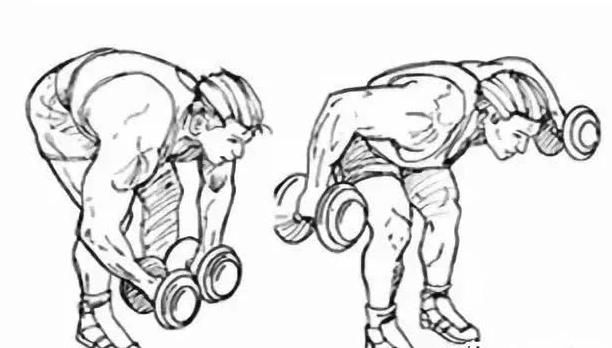 锻炼肩部后束的正确动作,坐姿划船器械怎么练三角肌