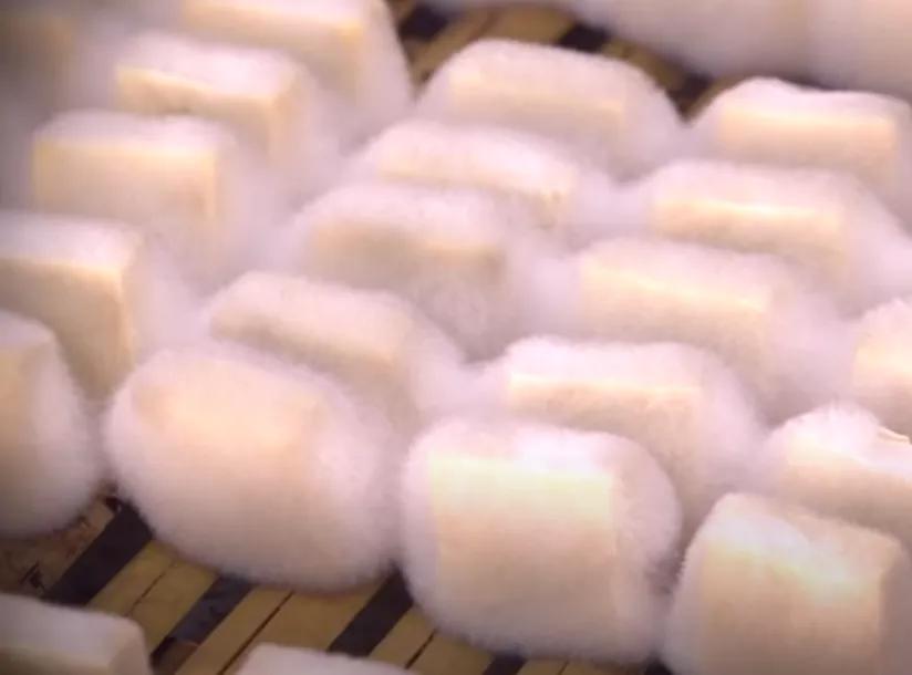 怎么肥事，一到冬天就想吃豆丝加腐乳？