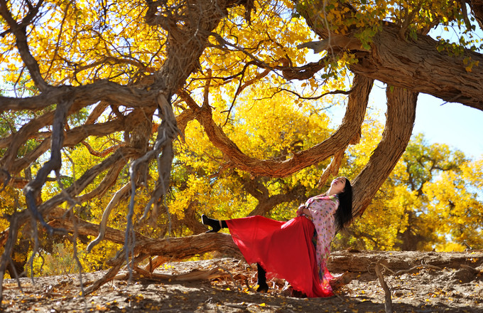 感受额济纳旗胡杨林的气息和美景,感受大漠深处最美秋色