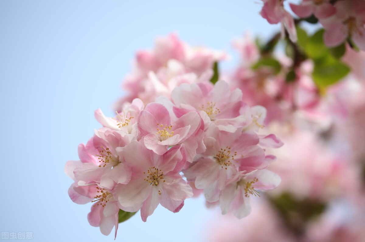 婆婆:当父母的花你们钱怎么了?我:经过我同意吗?凭什么?