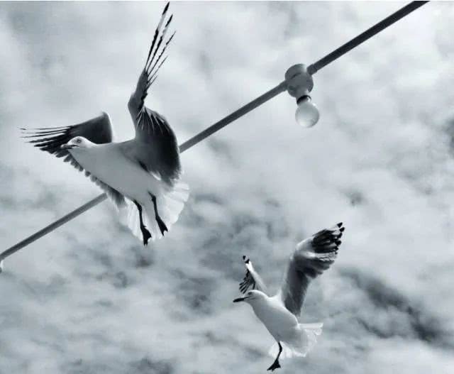 回忆杀胡歌,回忆杀胡歌探班唐嫣